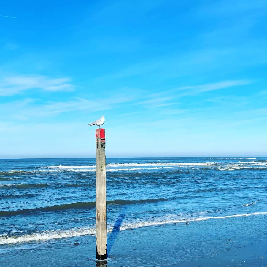 Hotel Zeerust Texel De Koog  Zewnętrze zdjęcie